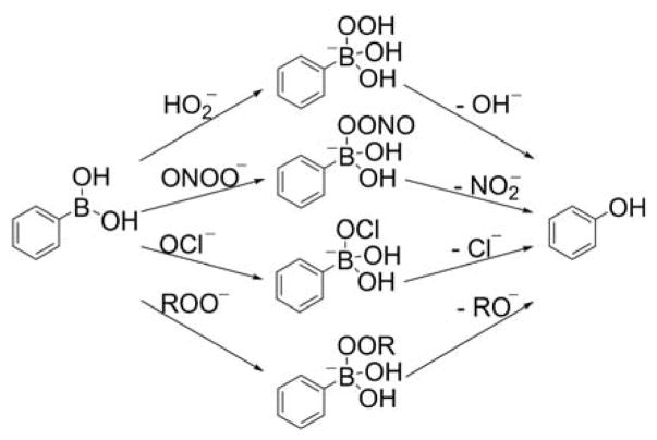 Chart 27