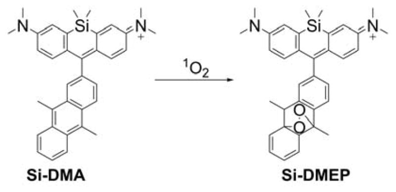 Chart 36