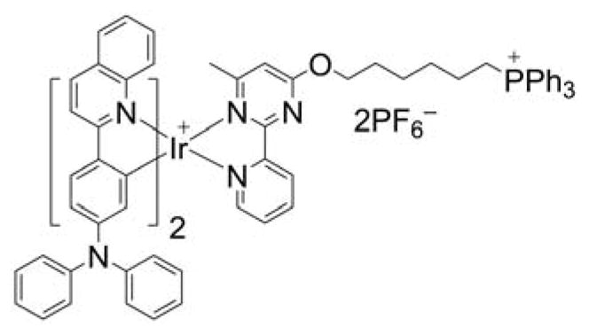 Chart 82