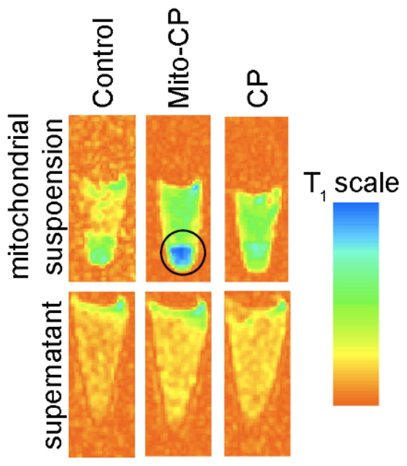 Figure 24