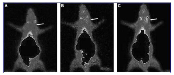 Figure 26