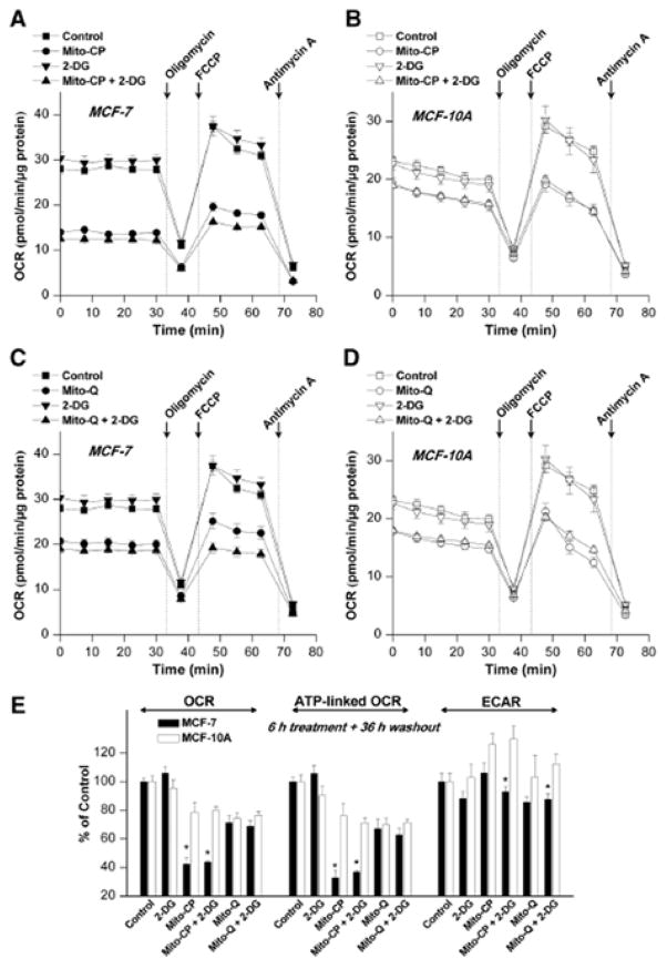 Figure 21