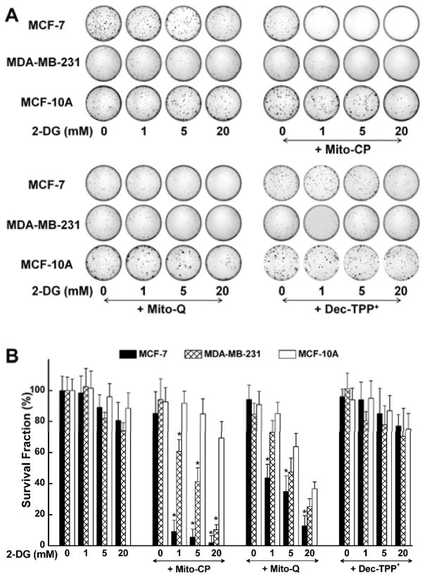 Figure 19