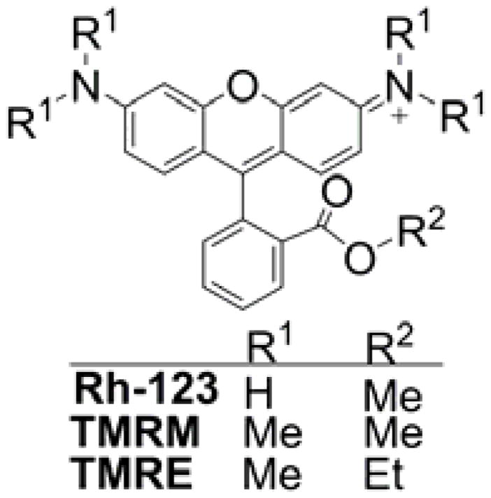 Chart 7