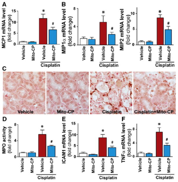 Figure 22