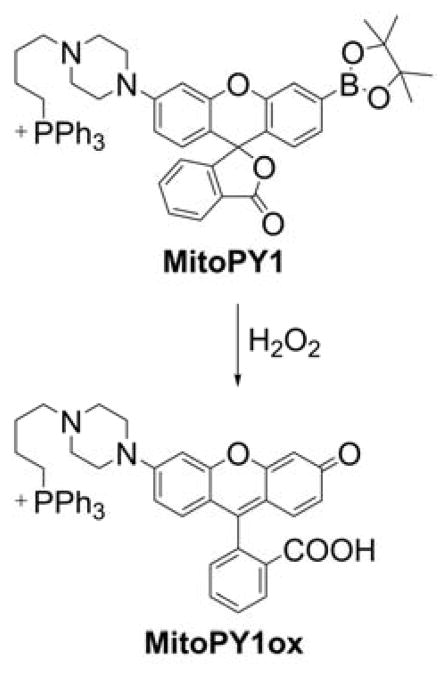 Chart 26