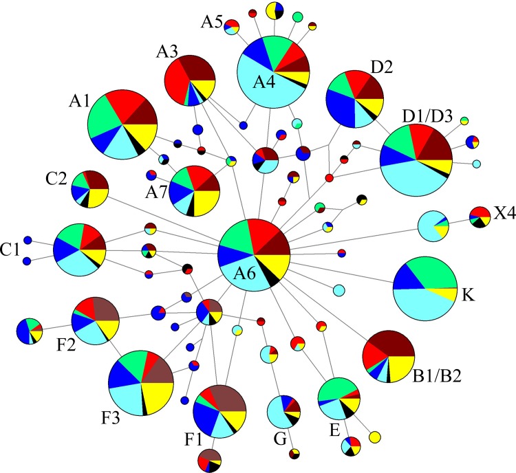 Fig 2