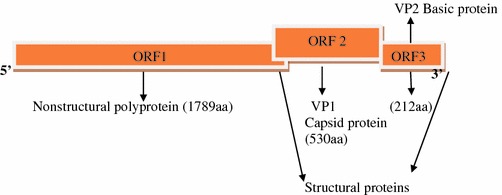 Fig. 4.4