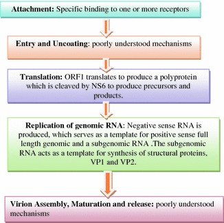 Fig. 4.5