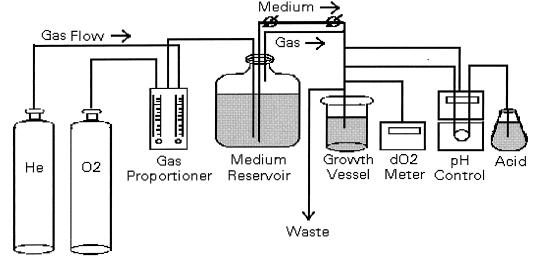 FIG. 1