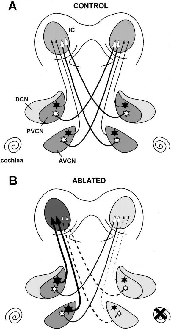 Fig. 11