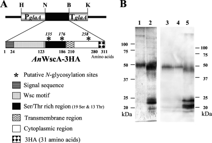 FIG. 8.