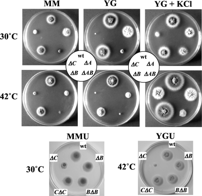 FIG. 3.