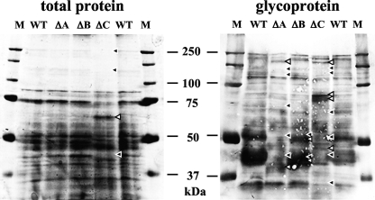 FIG. 7.