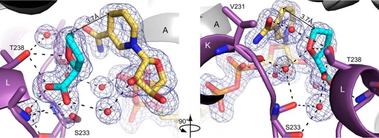 Figure 7.