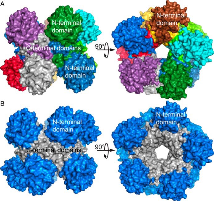 Figure 4.