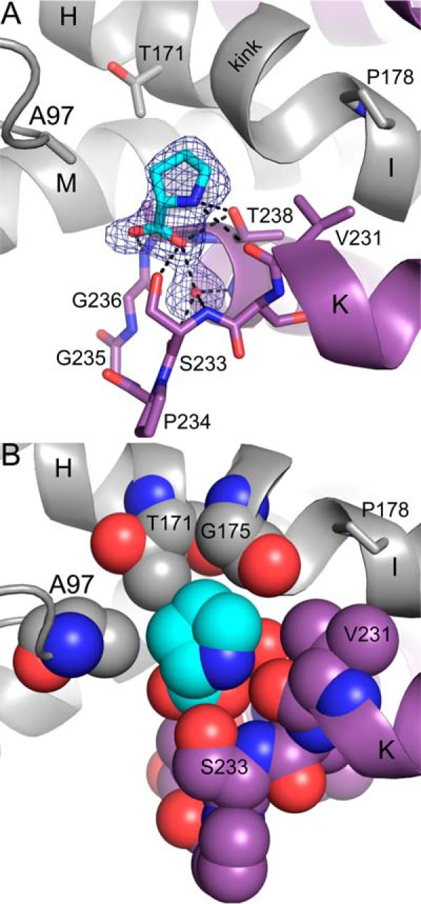 Figure 6.