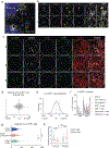 Extended Data Fig. 8 |