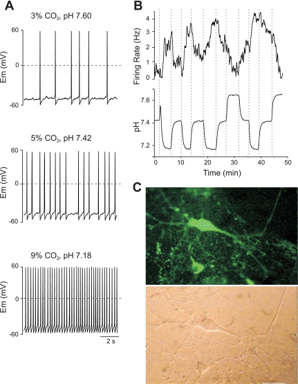 Fig. 3.