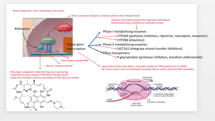 Figure 1: