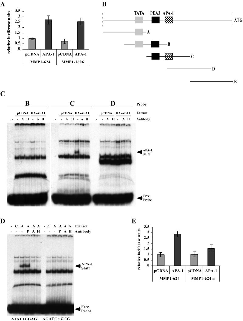 FIG. 7.