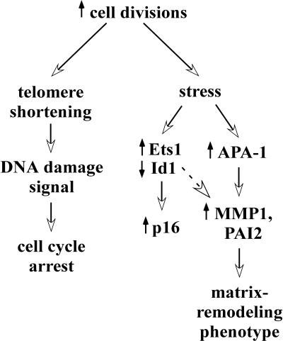 FIG. 8.