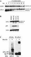 FIG. 4.