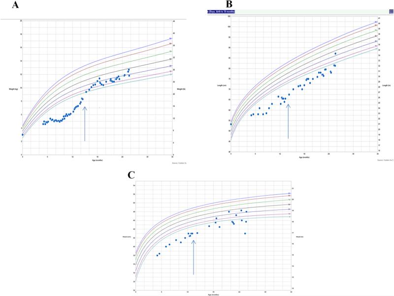 Fig.3