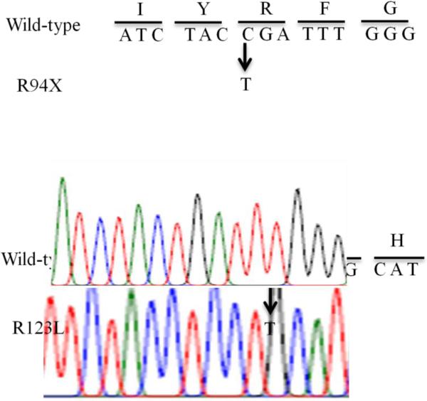 Fig.2