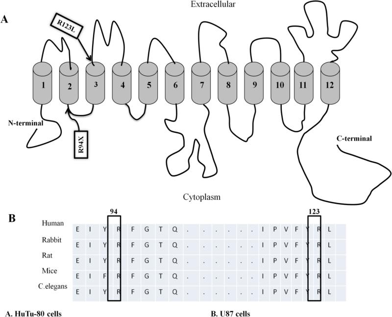 Fig.4