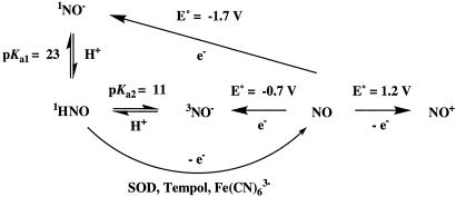 Scheme 1.