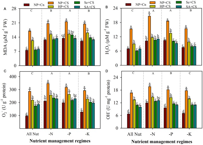 FIGURE 3