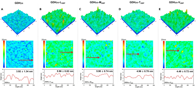 Figure 4