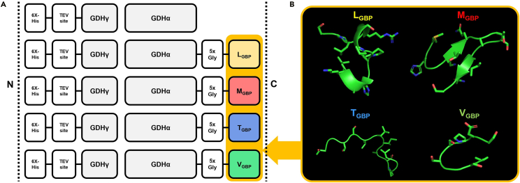 Figure 1