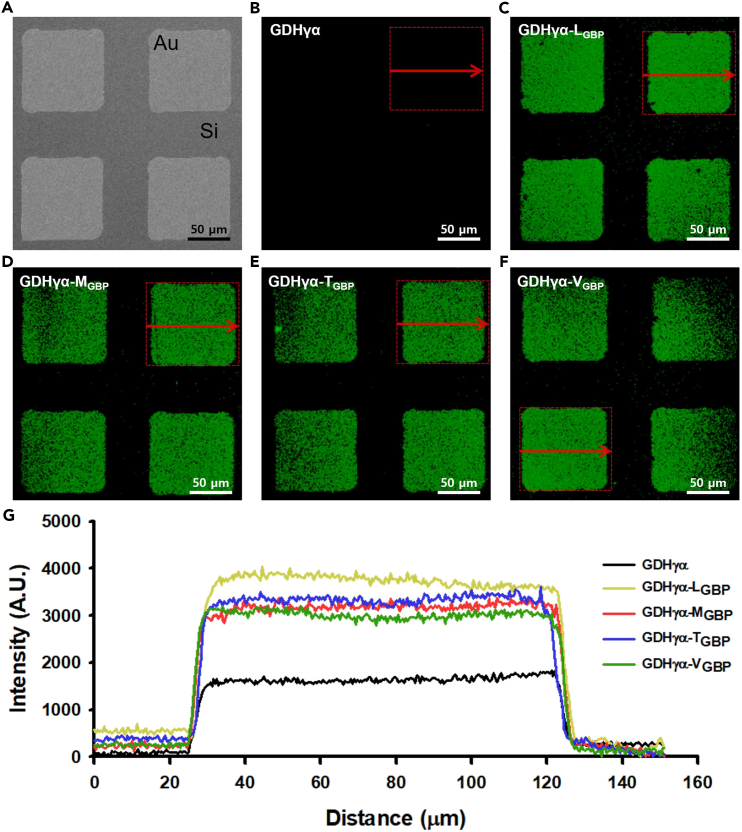 Figure 10