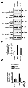 FIG. 1.