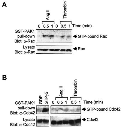 FIG. 6.