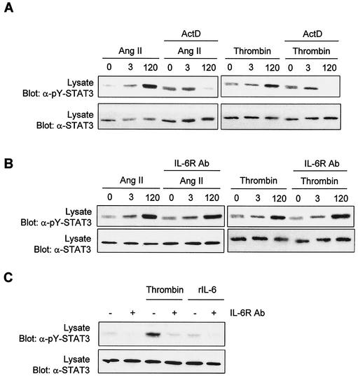 FIG. 10.