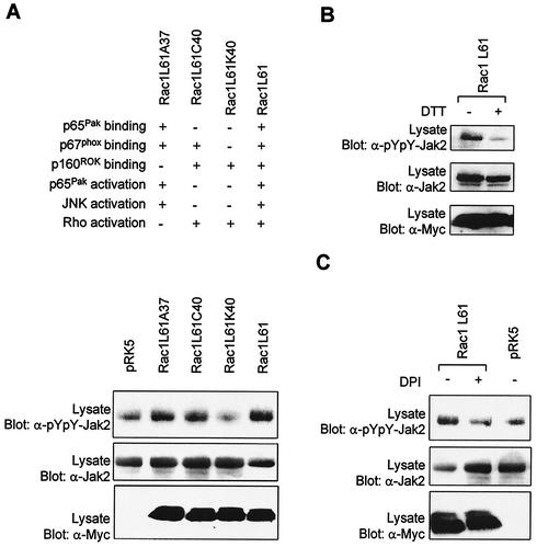 FIG. 9.