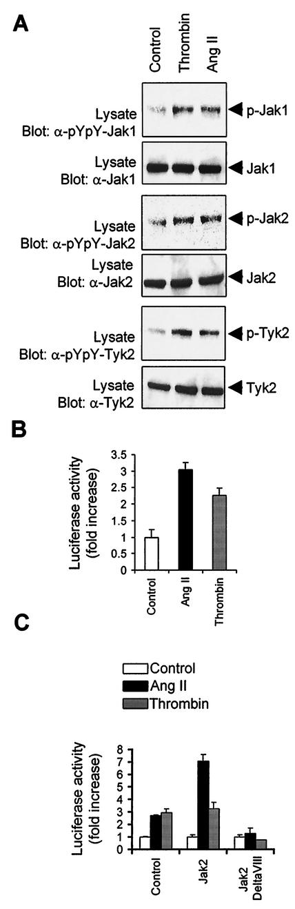 FIG. 1.