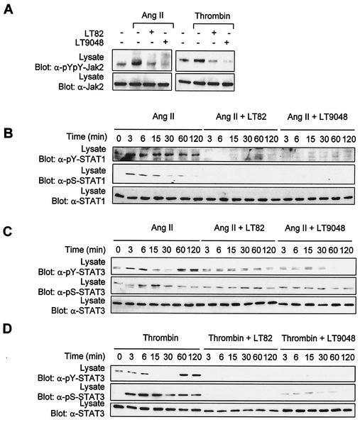 FIG. 7.