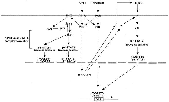 FIG. 11.