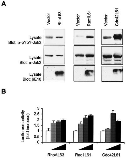 FIG. 8.