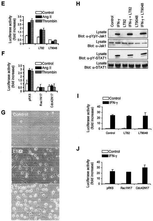 FIG. 7.