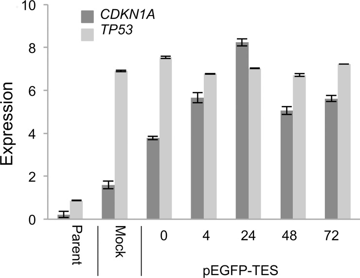 Fig 7