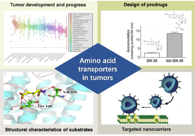 Image, graphical abstract