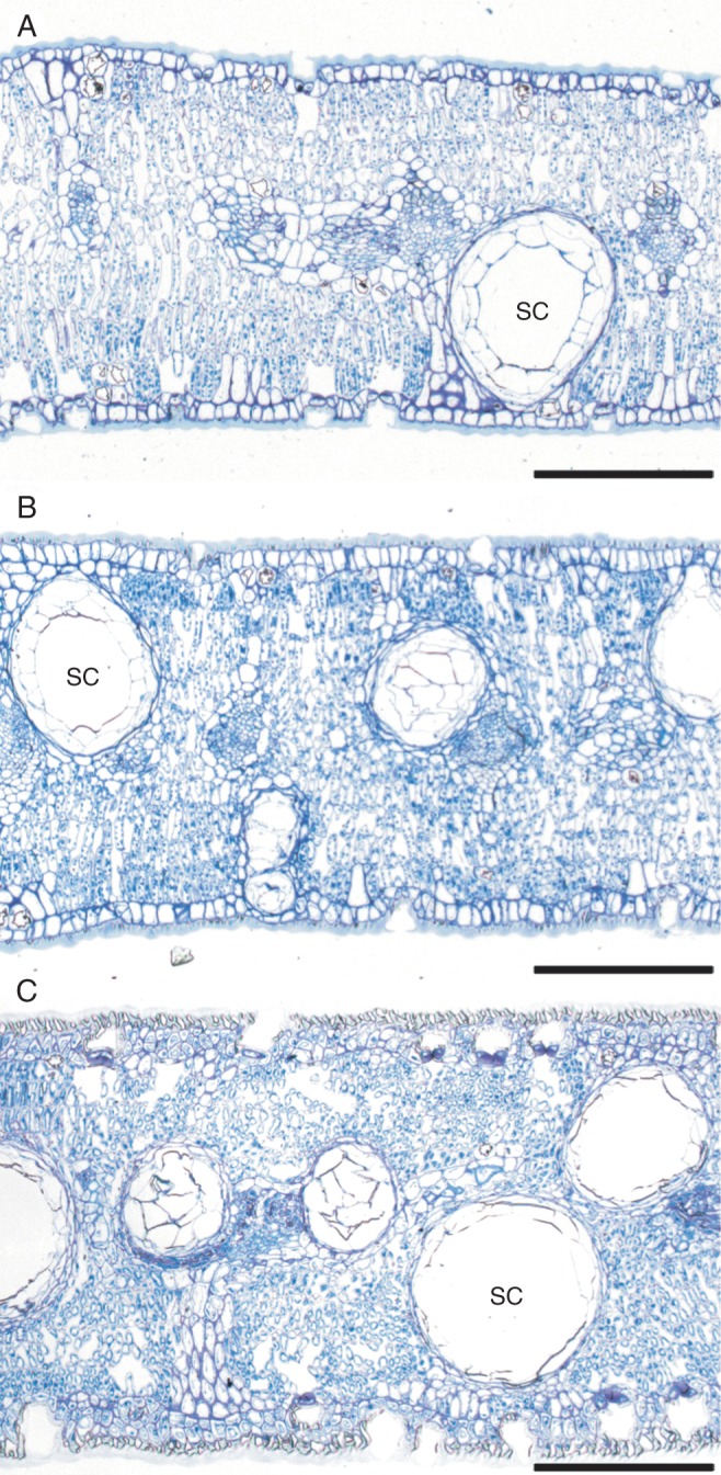 Fig. 2.