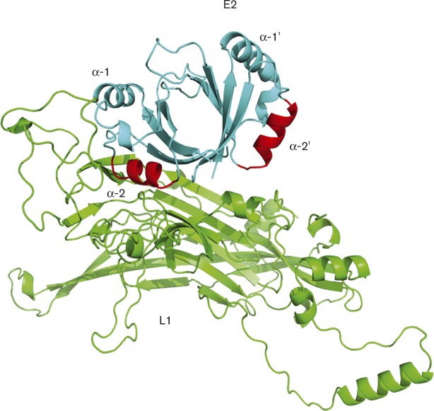 Fig. 1.