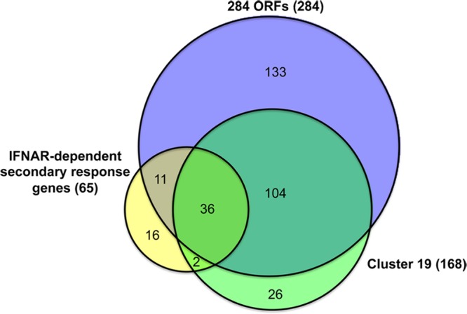 FIG 5