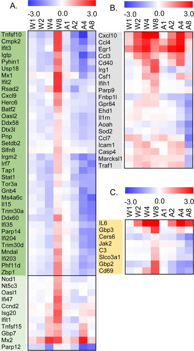 FIG 3